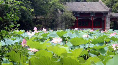 草莓视频污片家具福利