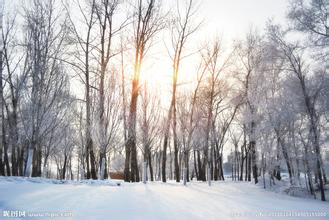 冬季办公家具的保养和维护 冬季办公家具的保养和维护