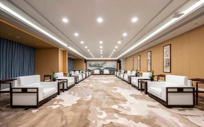 草莓视频污片商用家具-贵宾接待室家具