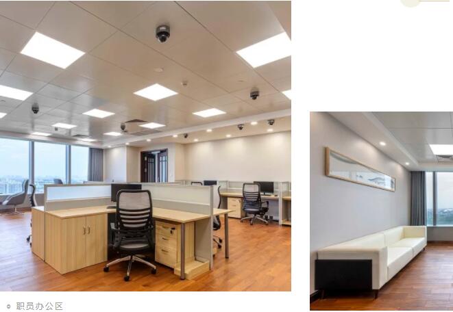 草莓视频污片办公家具