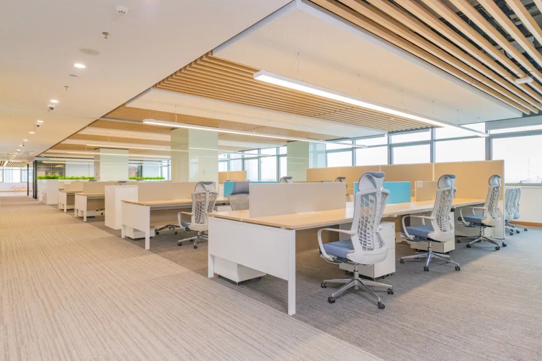 草莓视频污片办公家具